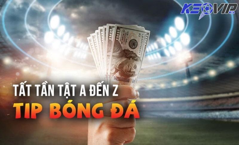 Kèo Vip cung cấp những dạng Tip bóng đá nào