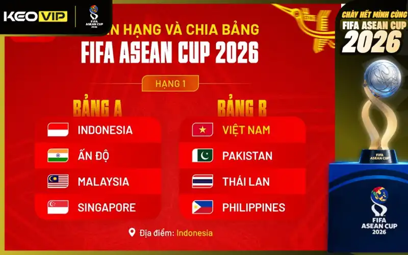 Thể thức phân hạng Division chuyên nghiệp
